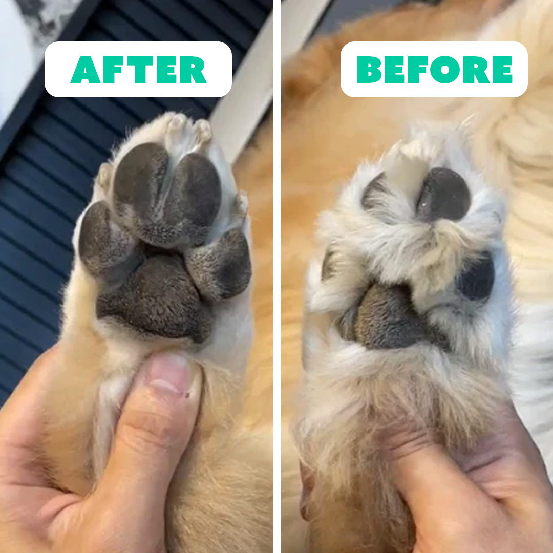 PawPerfect Silent Trimmer